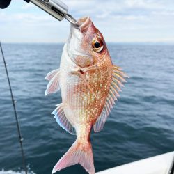 今日はタイラバ釣り